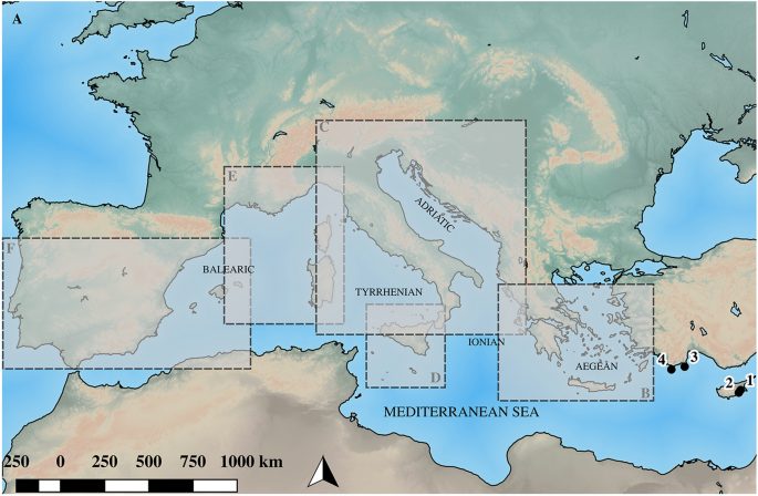 The Mediterranean and the Middle East