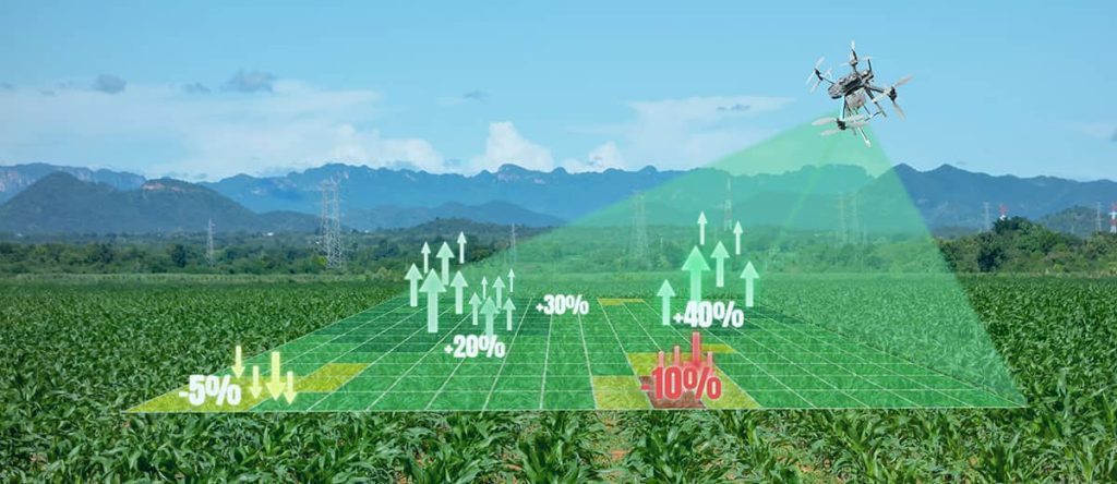 Crop Mapping and Analysis: