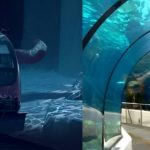 Kolkata Metro to test India's first underwater coach on Sunday