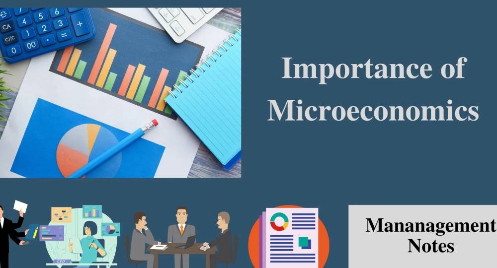 Microeconomics_ Microeconomics for Managers (2)