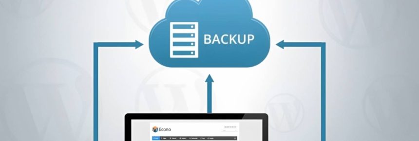 The Importance of Website Backup and Recovery for Your Business