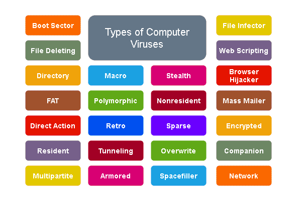 some key points on the different types of computer viruses