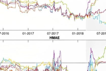 Unraveling the Contagion_ Exploring Spillovers in Volatility Among Cryptocurrency Time Series