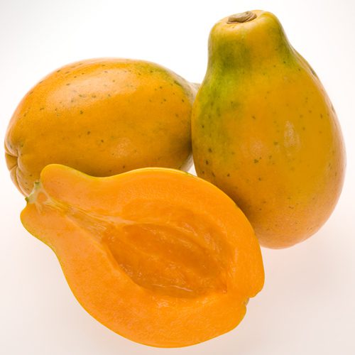 Papaya :