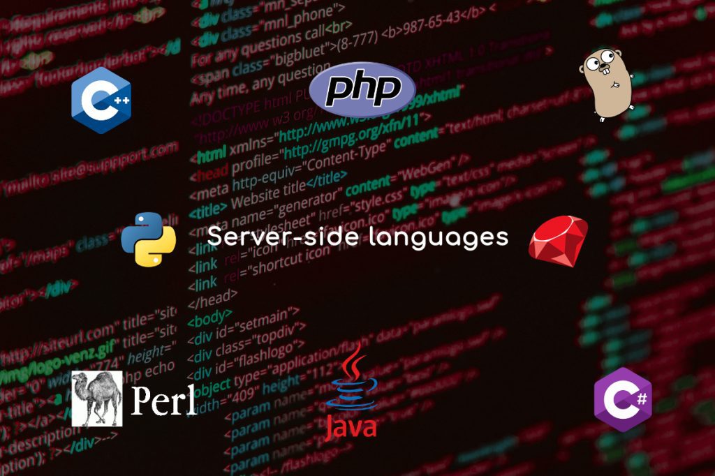 Server-Side Programming Languages