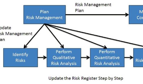 Monitor and Control Risks: