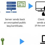 Securing Your Website_ Understanding the Importance of SSL_TLS Certificates