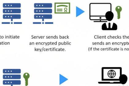 Securing Your Website_ Understanding the Importance of SSL_TLS Certificates