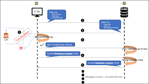 How to Obtain an SSL/TLS Certificate.websites