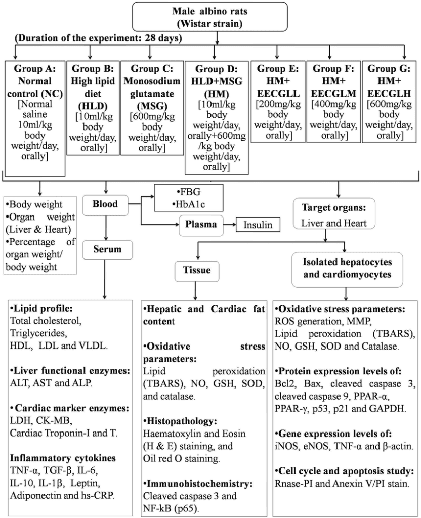 Experimental Plan and Advancement: