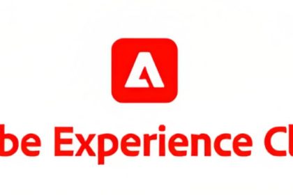 The Adobe Experience_ A User's Guide