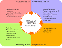 Emergency Response and Disaster Management: