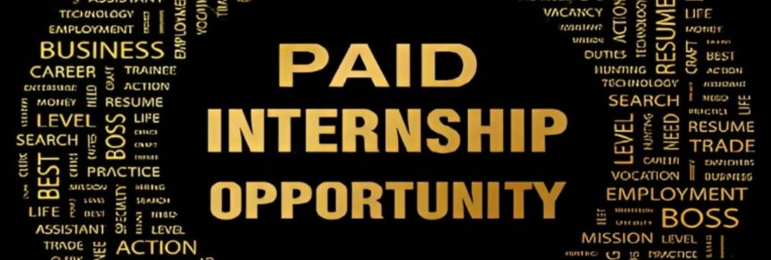 A Comprehensive Guide to Earning a Paid Internship